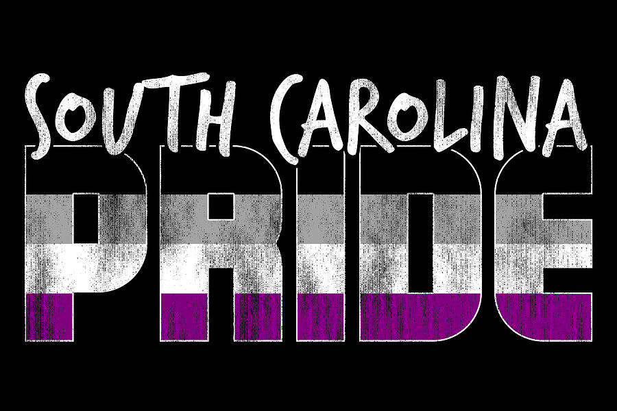 South Carolina Pride Asexual Flag Digital Art by Patrick Hiller Pixels
