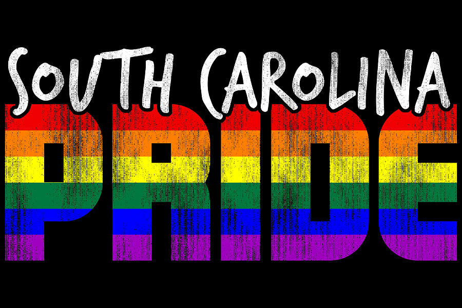 South Carolina Pride LGBT Flag Digital Art by Patrick Hiller Fine Art