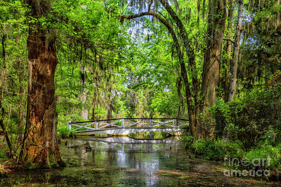 South Carolina Serenity Photograph by Teresa Jack