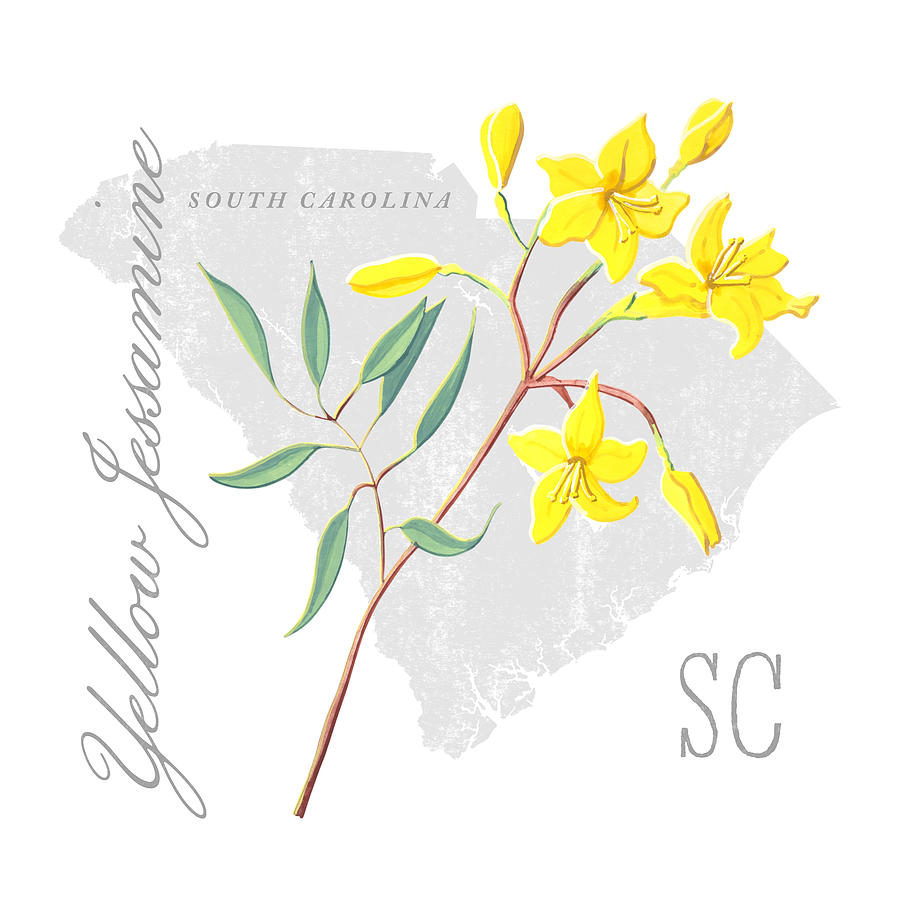 South Carolina State Flower Yellow Jessamine Art by Jen Montgomery Painting by Jen Montgomery