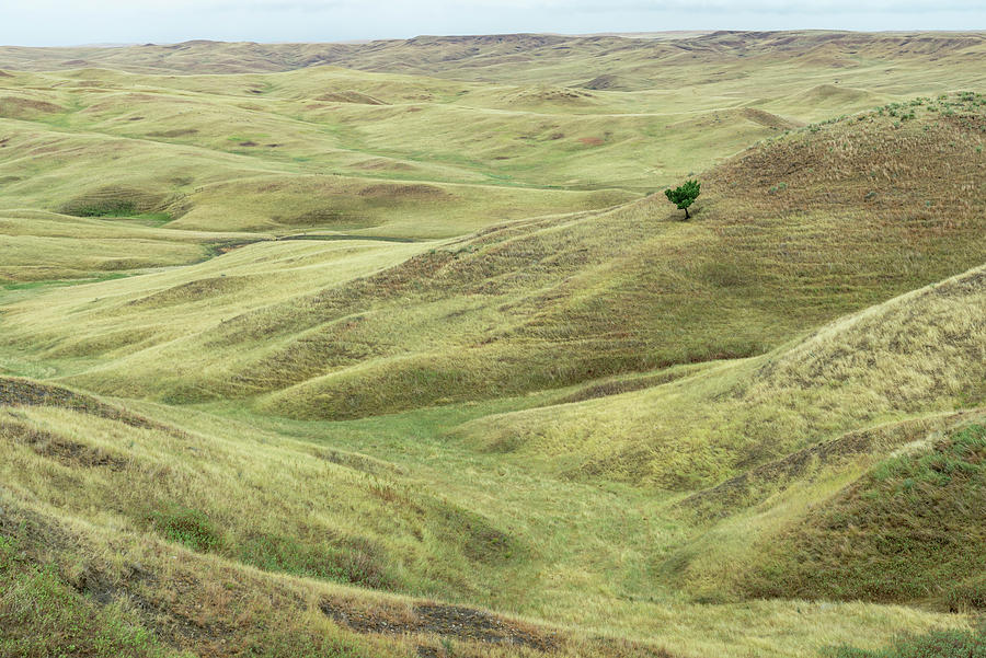 South Dakota landscape Photograph by Chris Augliera - Fine Art America