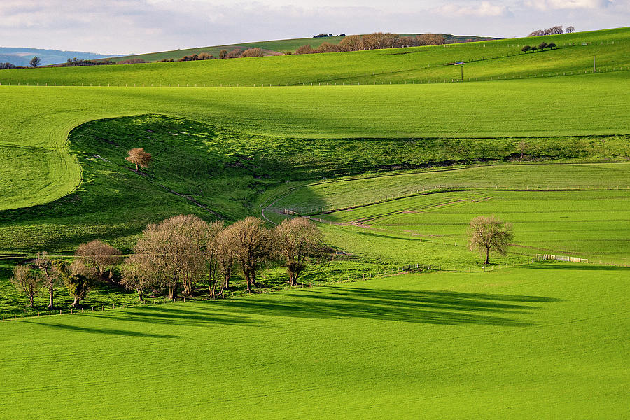 South Downs Green Photograph by Hazy Apple