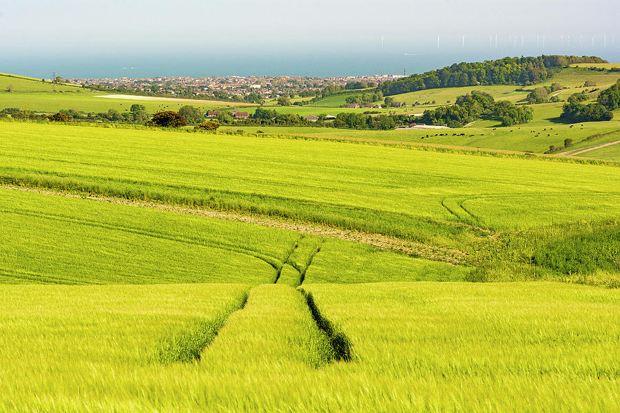 South Downs Lines Photograph by Hazy Apple