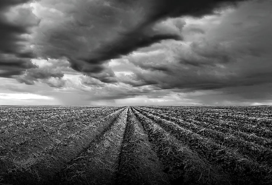 South East Texas Farm Field Furrows in Black and White Photograph by Randall Nyhof