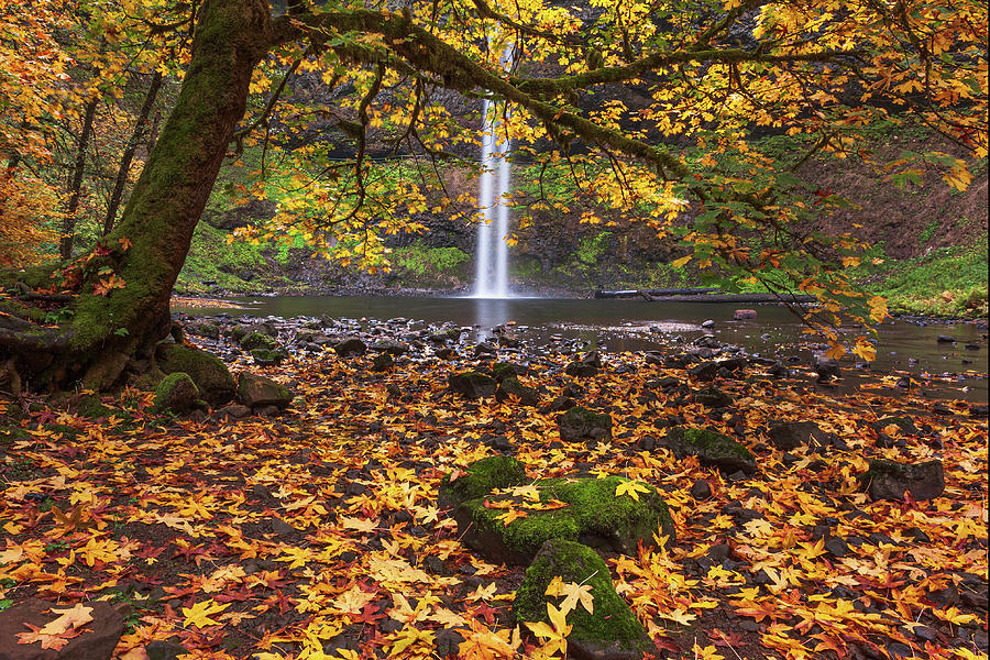 Fall Photograph - South Falls by Patrick Campbell