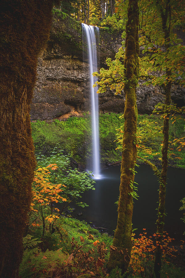 Home wall decor. South Falls waterfall photo Offering Nature Photography in Prints Canvas and Metal Art Silver Falls State Park Oregon