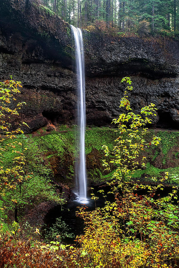 South Falls Oregon USA #610 Photograph by Gary McJimsey