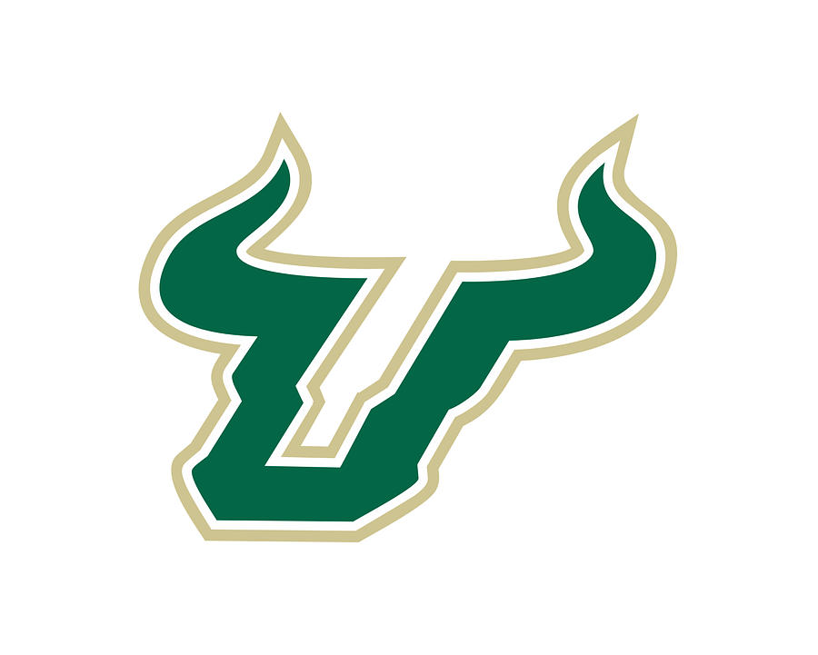 University Of South Florida Drawing - South Florida Bulls by Christopher Long