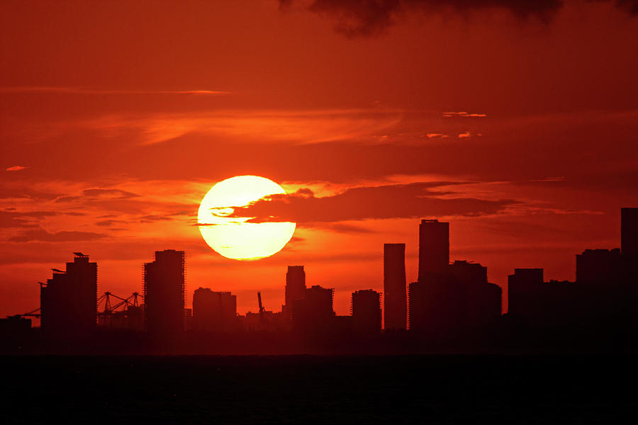South Florida Sunset Silhouette Photograph by Bill Swartwout
