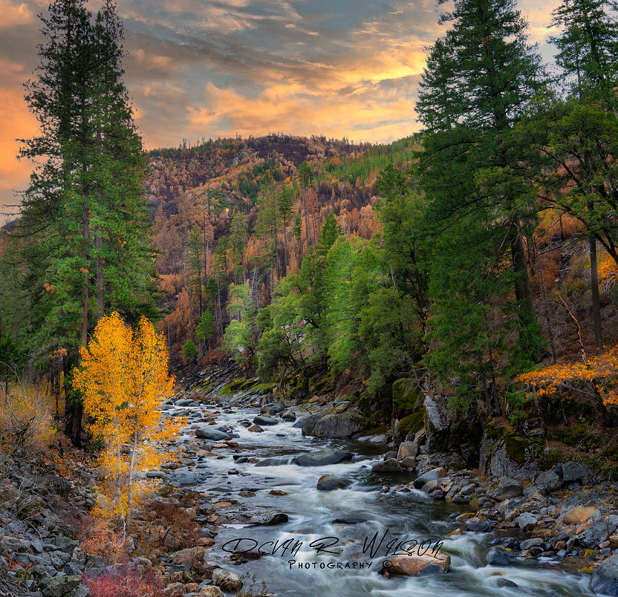 South Fork in the Fall Photograph by Devin Wilson