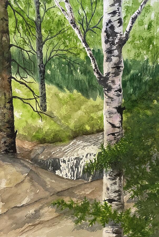 South Fork of Buffalo Creek Painting by Judy Strickland South Fork of Buffalo Creek Painting by Judy Strickland