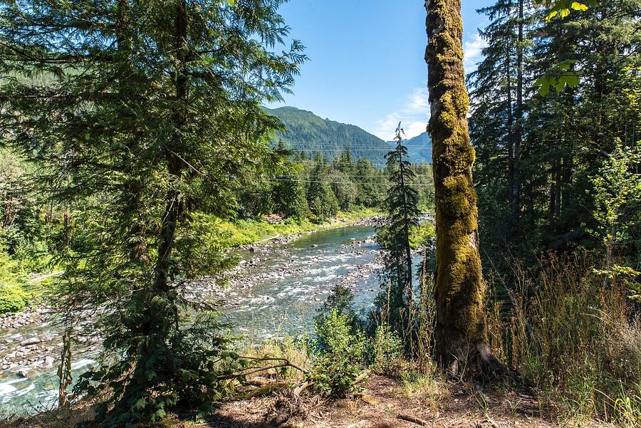 South Fork of the Skykomish Photograph by Tom Cochran