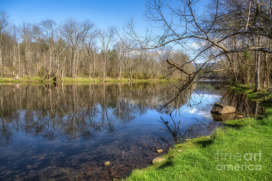 South Holston River in Spring II Photograph by Shelia Hunt