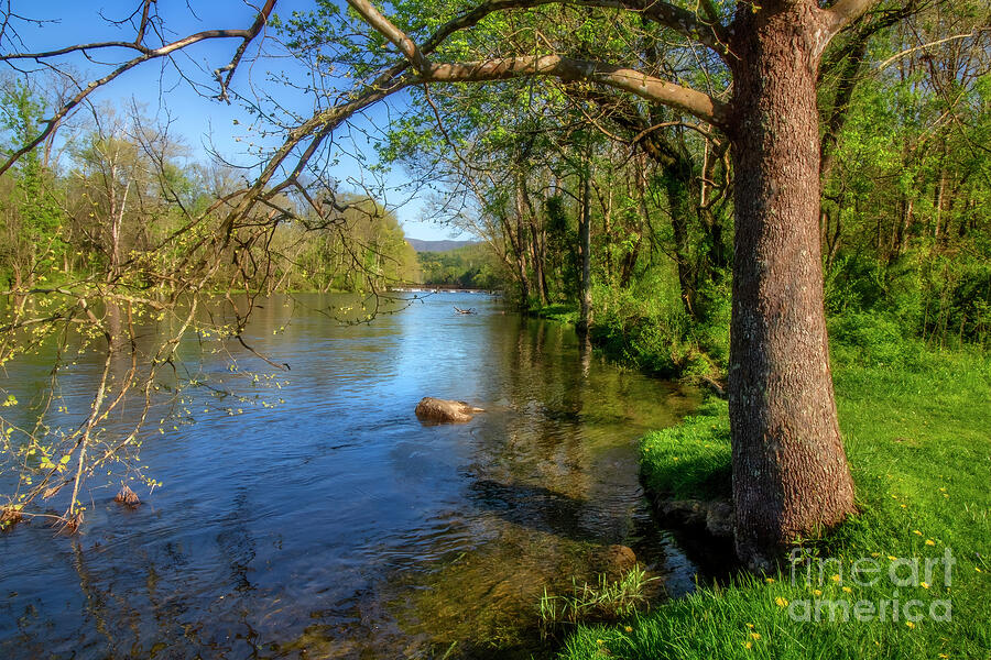 South Holston River in Spring Photograph by Shelia Hunt