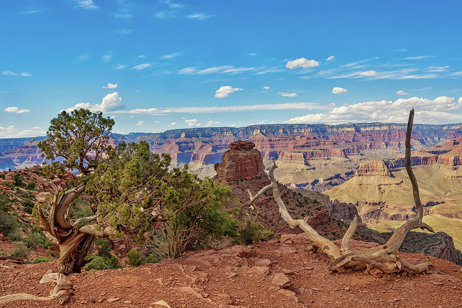 South Kaibab Trail 62 Photograph by Marisa Geraghty Photography