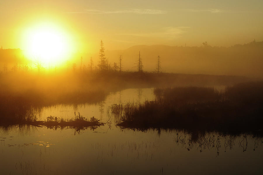 South Lake Sunrise Photograph by Bob Grabowski