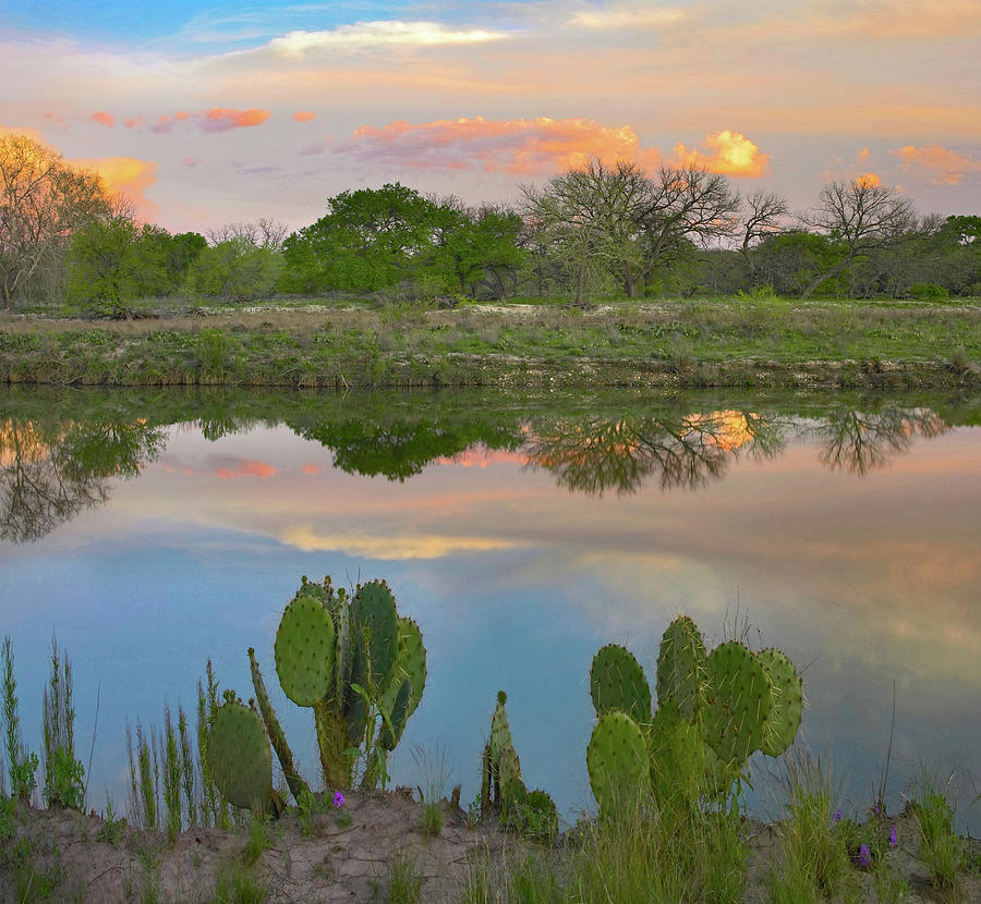 Nature Photograph - South Llano River State Park, Texas by Tim Fitzharris