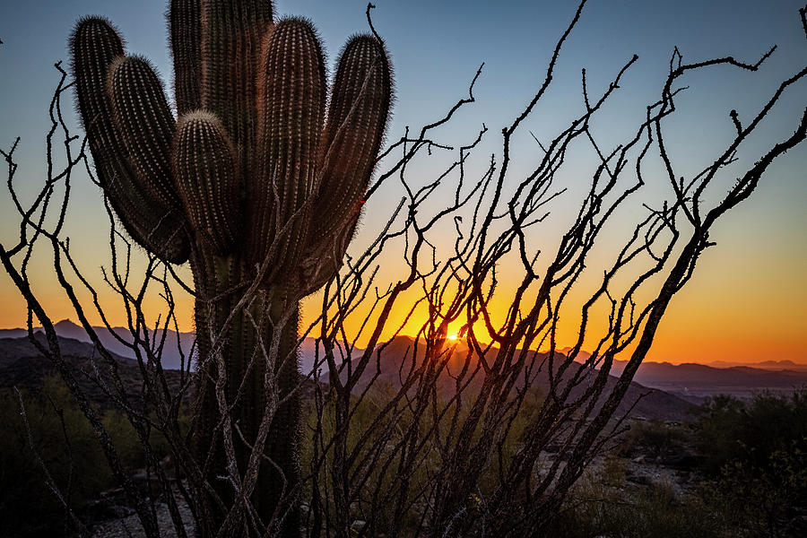 South Mountain Sunset Photograph by Sonny Marcyan