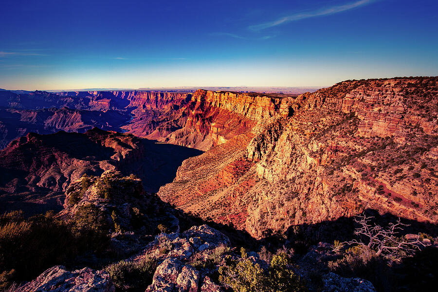 South Rim Golden Hour Photograph by Mike Lee