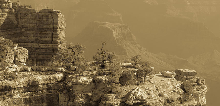 South Rim Grand Canyon 13 Antiqued Photograph by Renny Spencer