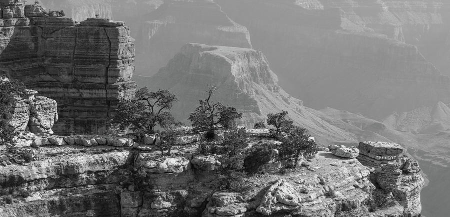 South Rim Grand Canyon 13 BW Photograph by Renny Spencer