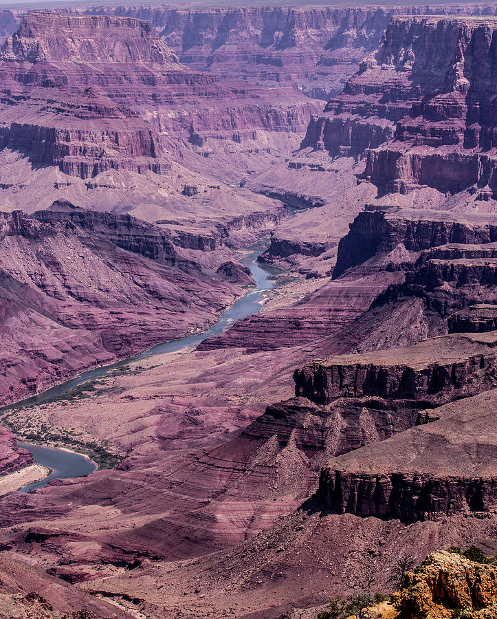 South Rim Grand Canyon 6 Photograph by 
