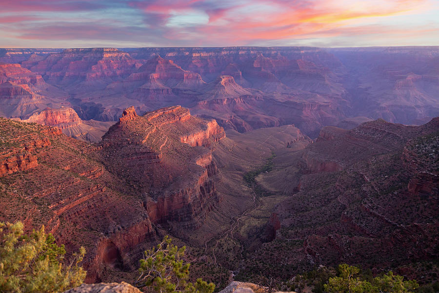 South Rim Grand Canyon National Park 50 Photograph