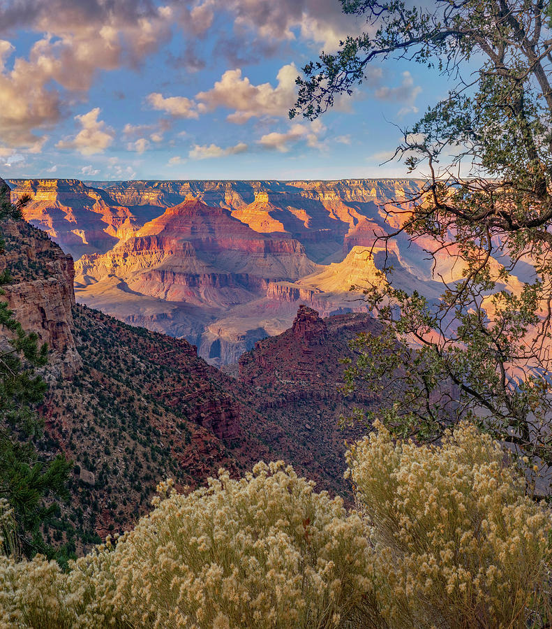 Grand Canyon National Park Photograph - South Rim, Grand Canyon National Park, Arizona USA by Tim Fitzharris