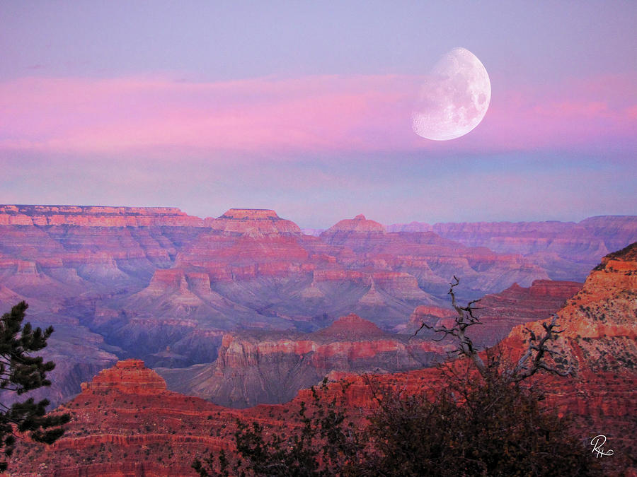 South Rim Moonrise Photograph by Robert Harris
