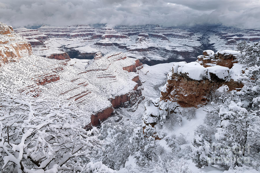 South Rim of Grand Canyon National Park after Winter Snowstorm Photograph by Tom Schwabel
