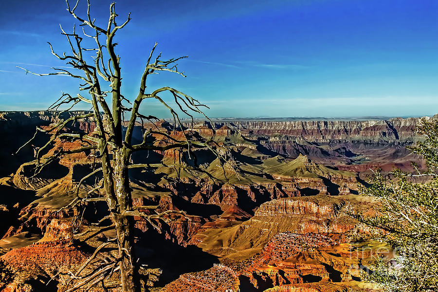 South Rim with a Red Glow Photograph by Robert Bales