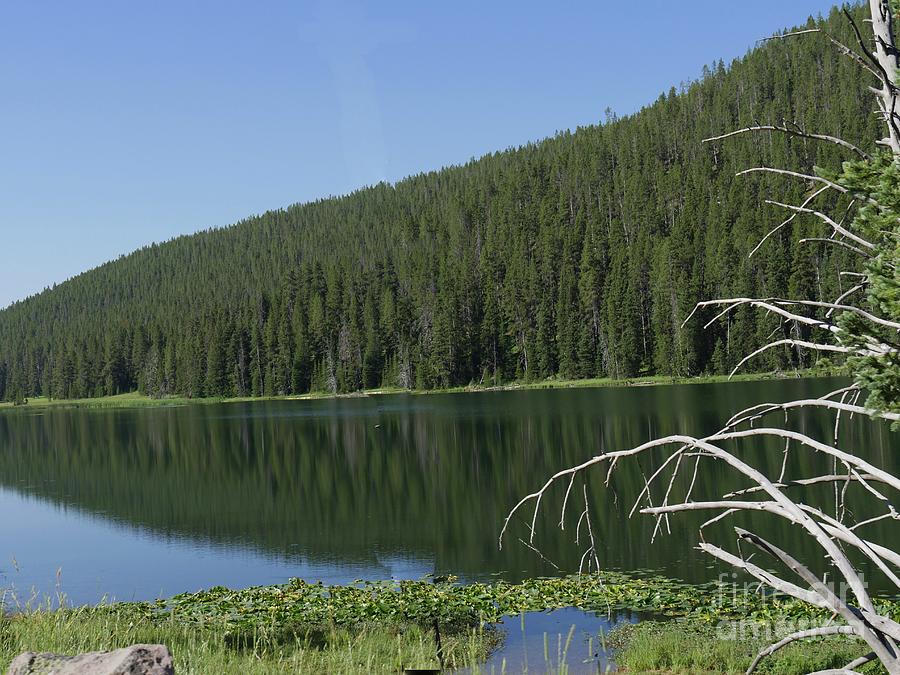South Twin Lake, Wyoming Photograph