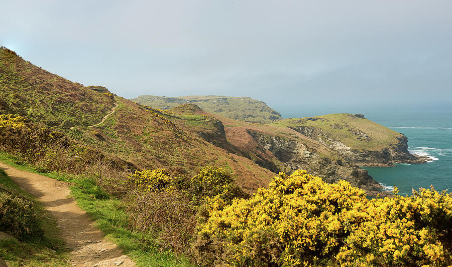 South West coast path near Tintagel Cornwall Photograph by Steven Heap