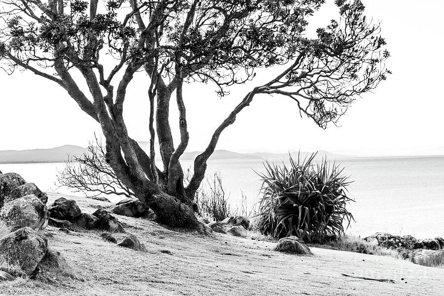 South West Rocks 3 - bw Photograph by Werner Padarin South West Rocks 3 - bw Photograph by Werner Padarin