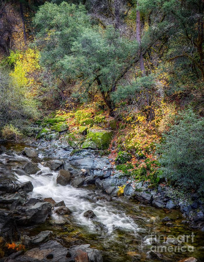 South Yuba River Autumn Photograph by Leslie Wells