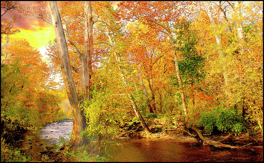Southeastern Pennsylvania Woodland Stream in Autumn Photograph by A Macarthur Gurmankin