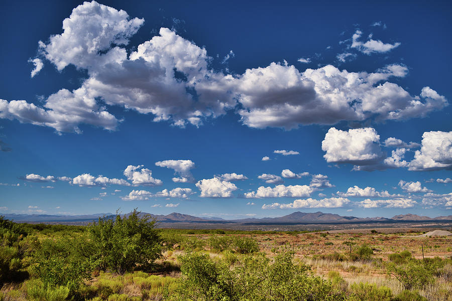 Southern Arizona Cottonball Clouds Photograph by Chance Kafka
