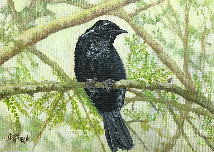Southern Black Flycatcher Painting by Caroline Street