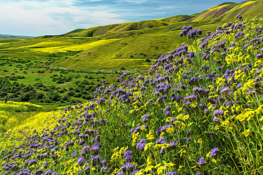Southern California Superbloom 2 Photograph by Lindsay Thomson