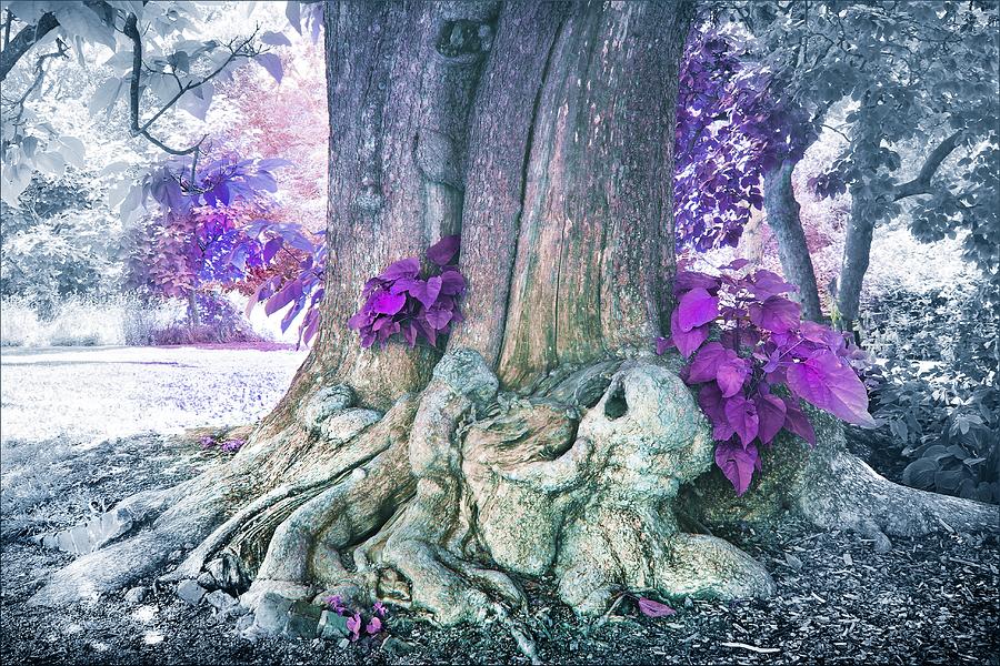 Tree Photograph - Southern Catalpa Purple Fantasy by Slawek Aniol