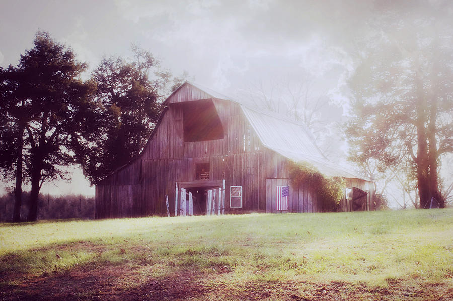 Southern Charm Photograph by Julie Hamilton