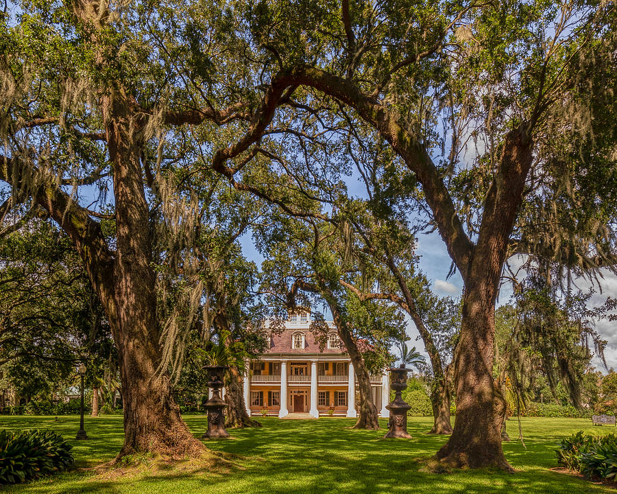 Southern Charm Photograph by Rod Best
