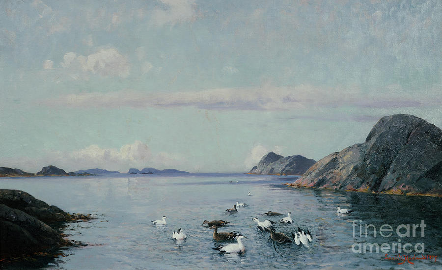 Southern coast with seabirds, 1907 Painting by O Vaering by Lauritz Haaland