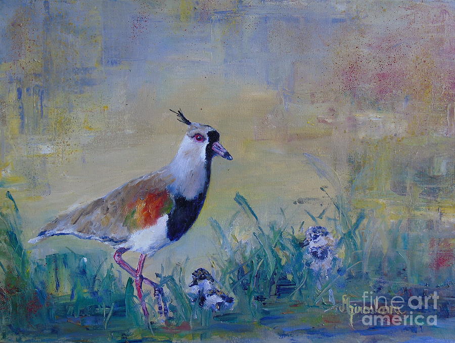 Southern lapwing- Vanellus chilensis Painting by Silvana Miroslava Albano