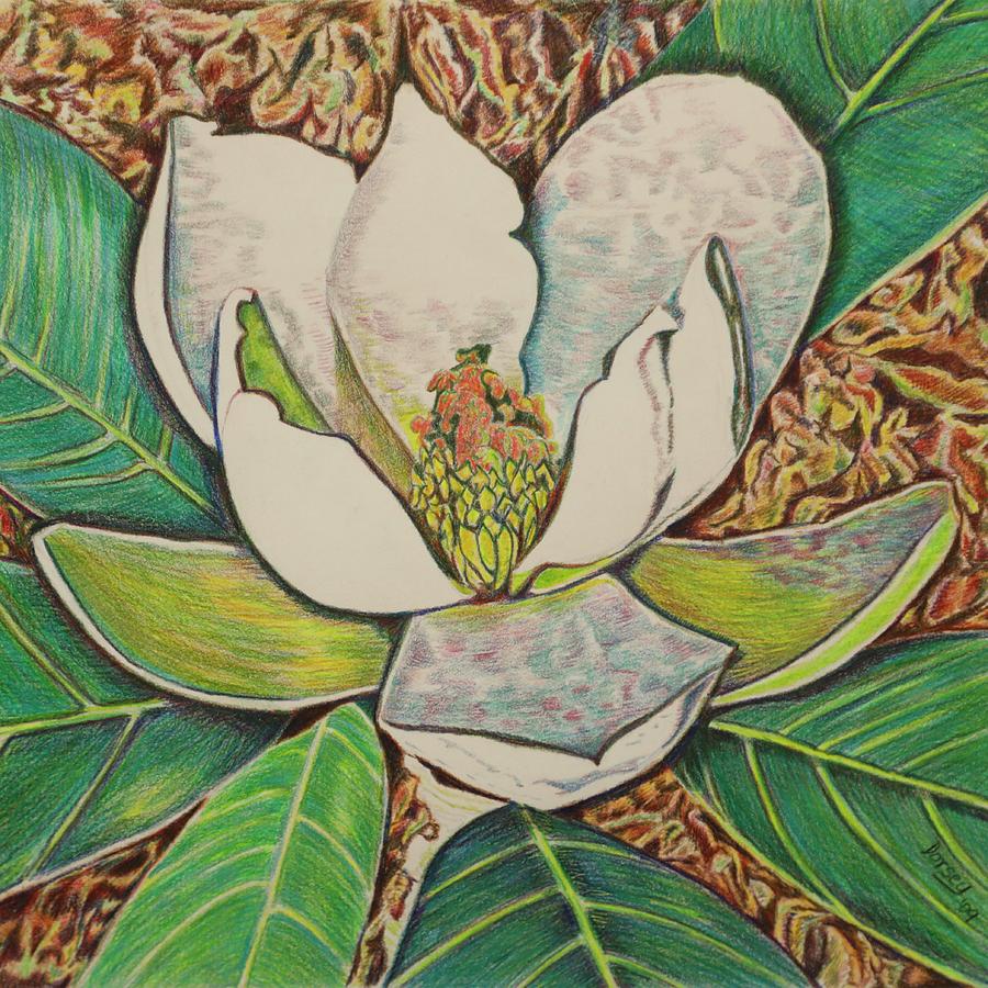 Southern Magnolia  Painting by Dorsey Northrup