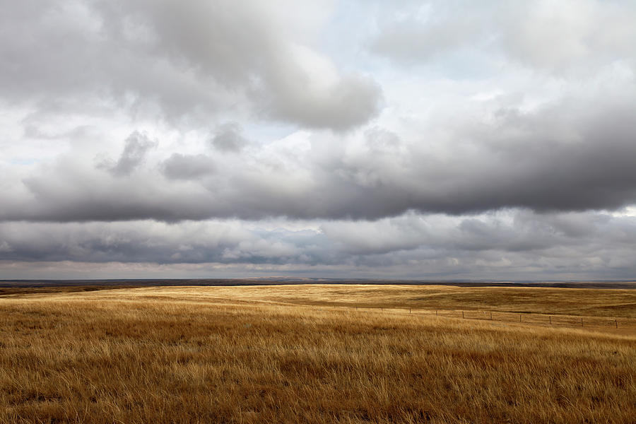 Southern Saskatchewan Prairie Photograph by Rick Pisio - Fine Art America