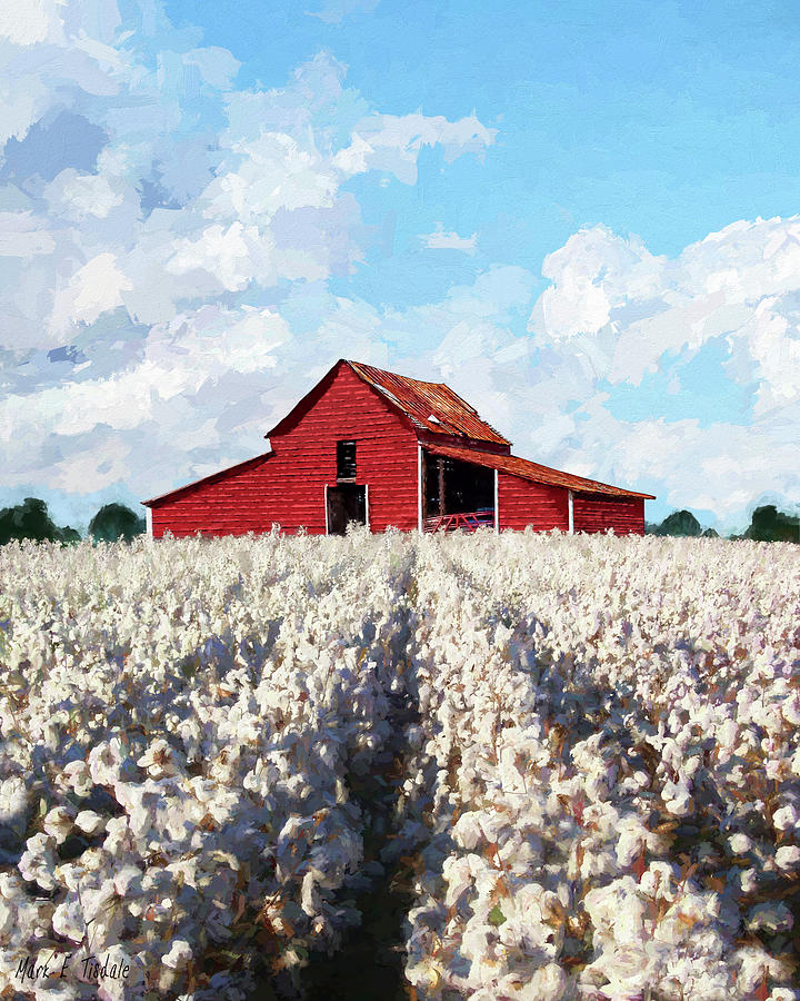 Southern Snow - Cotton Fields Ready To Harvest Mixed Media by Mark Tisdale