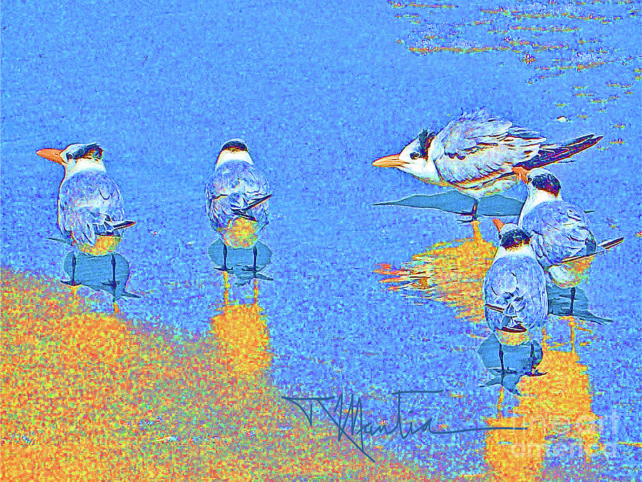 Southern Terns Cooling Off  Digital Art by Art Mantia