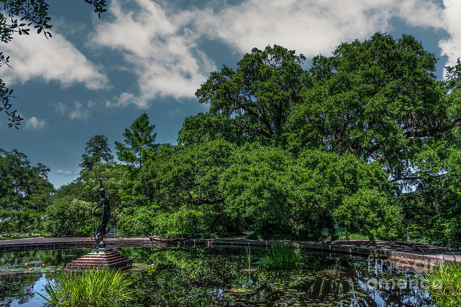 Southern Time - Brookgreen Gardens Photograph