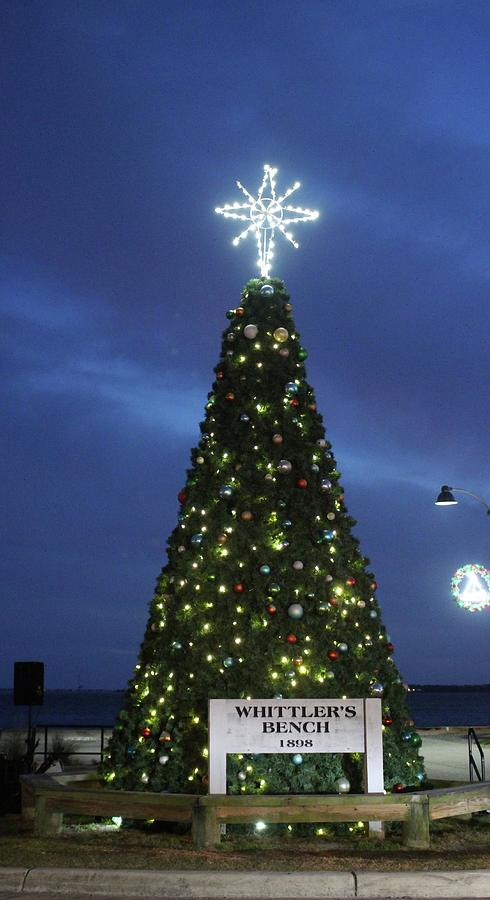 Southport Christmas Tree Photograph by Cynthia Guinn